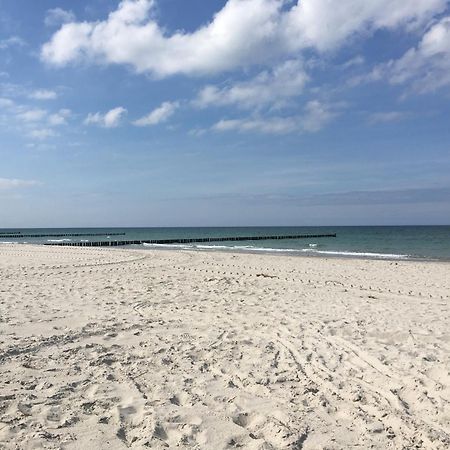 Seepferdchen Zingst Esterno foto