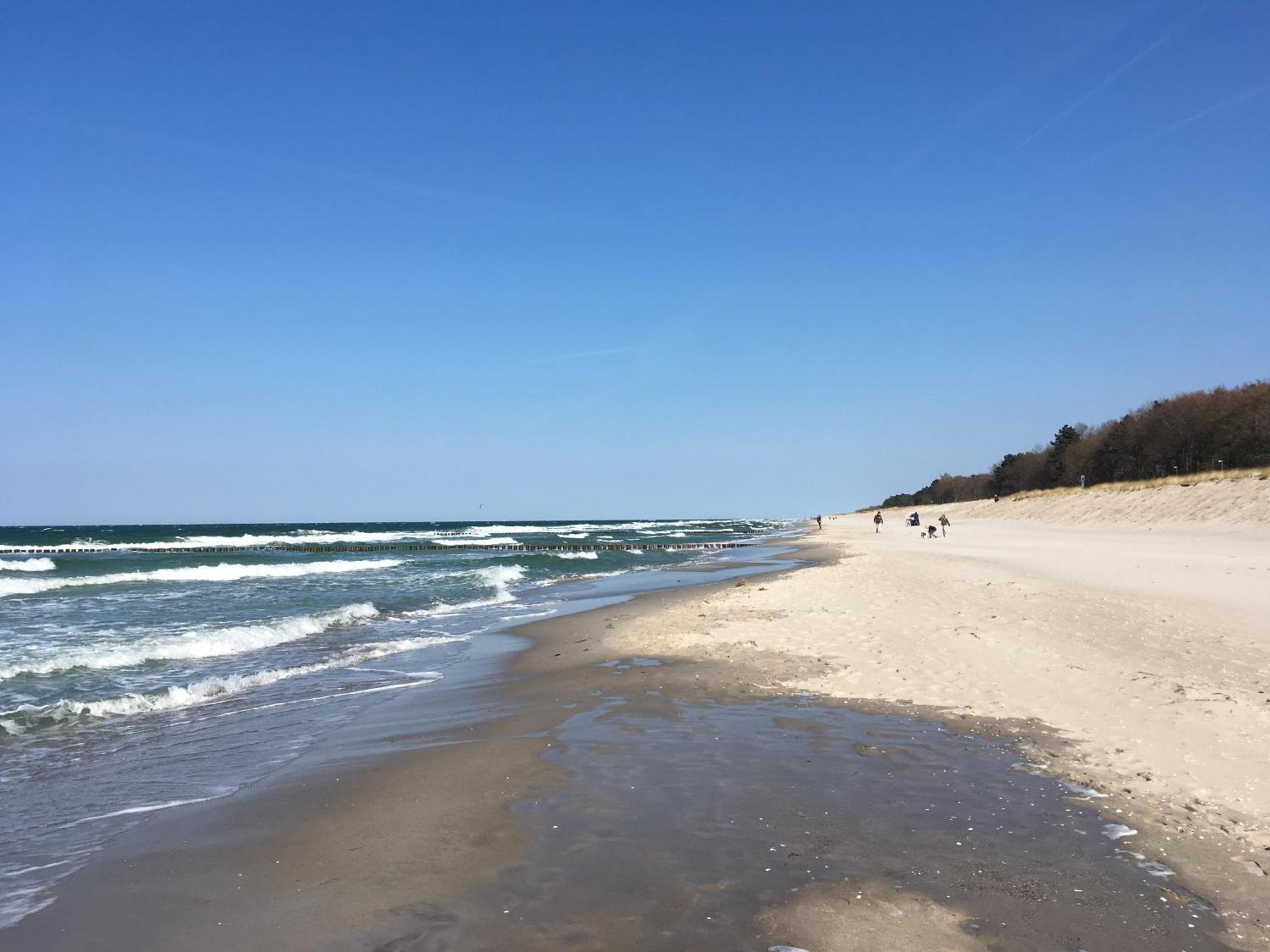 Seepferdchen Zingst Esterno foto